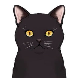 Black Cat image