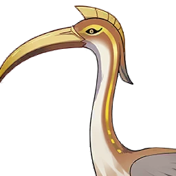 Sacred Ibis image