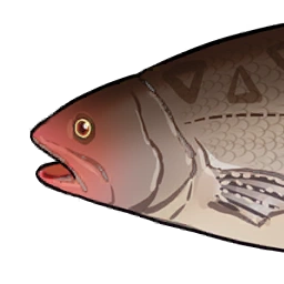 Black-Back Bass image