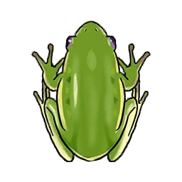 Frog image