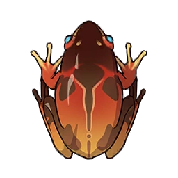 Forest Tree Frog image