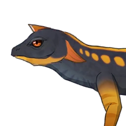 Red Tailed Lizard image