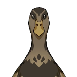 Velvetfall Duck image