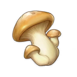 Mushroom image