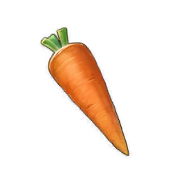 Carrot image