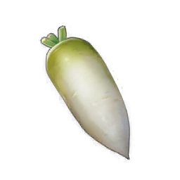 Radish image