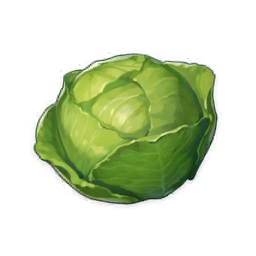 Cabbage image