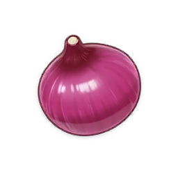 Onion image