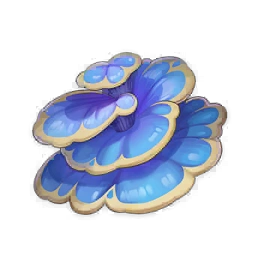 Rukkhashava Mushrooms image