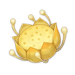 Nilotpala Lotus image