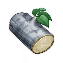 Silver Fir Wood image