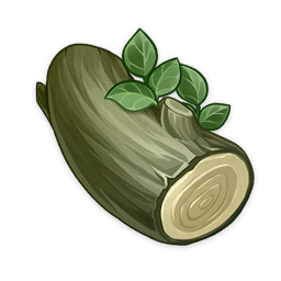 Pedunculate Oak Wood image