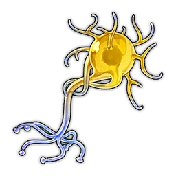 Seedling of Manas image