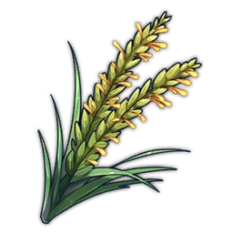 Rice Plant Panicle image