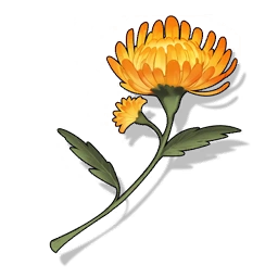 Sunflare Everlasting image