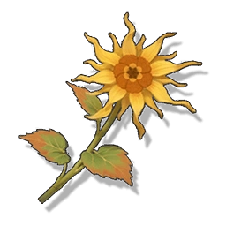 Luminous Calendula image