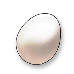 Bird Egg image