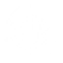 Engraved in Radiant Light icon