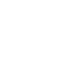 Veritas Lux Mea icon