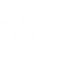 Through Storms I Sail icon