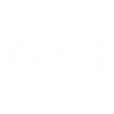 Priority Parcel In Transit icon