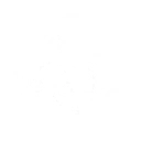 Tao Seeker's Journey icon