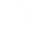 Mirroring Introspection icon