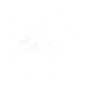 Iron Fist Diplomacy icon