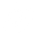 Leaping Sparkles icon