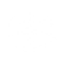 Anomalous Vision icon