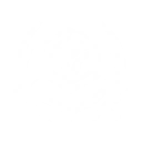 Solace of the Ordinary icon