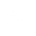 Resonating Lamella icon