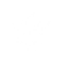 Moment of Emergence icon