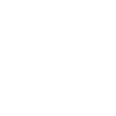 The Choice to Flourish icon