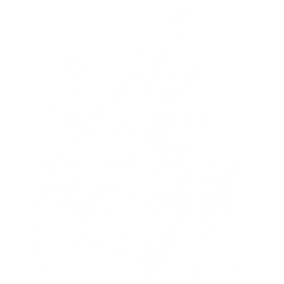 Summon a Frostscourge Stalker to attack enemies, dealing {0} Glacio DMG.
CD: {1}s.