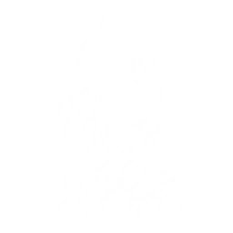 Summon a Lottie Lost to attack enemies, dealing {0} Spectro DMG.
CD: {1}s.