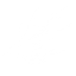 Transform into Abyssal Patricius and charge forward to attack enemies, dealing {0} Glacio DMG.
The Resonator with this Echo equipped in the main slot gains {1} Glacio DMG Bonus.
CD: {2}s.