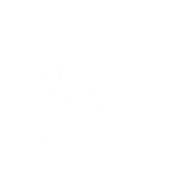 Transform into Abyssal Mercator and summon 3 Ice Spikes to attack enemies, each dealing {0} Glacio DMG.
CD: {1}s.