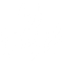 Transform into Sentry Construct and attack enemies in front, dealing {0} Glacio DMG. Each time the Resonator with this Echo casts Resonance Liberation, it charges the Strike Capacitor.
Once Strike Capacitor is at max level, the Echo Skill cooldown will be reset. Use Echo Skill to transform into Sentry Construct and dive into enemies from the air, dealing {1} Glacio DMG and freezing the target.
The Resonator with this Echo equipped in their main slot gains {2} Glacio DMG Bonus and {3} Resonance Skill DMG Bonus.
CD: {4}s.