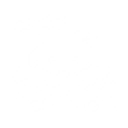 Summon a Dwarf Cassowary that tracks and attacks the enemy, dealing {1} Physical DMG {0} time(s).

Cooldown: {2}s