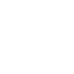 Strike enemies in front, dealing {0} Electro DMG, and summon Mech Waste to attack. Mech Waste deals {1} Electro DMG on hit and explodes after a while, dealing {2} Electro DMG.

After casting this Echo Skill, increase the current character's ATK by {3} for {4}s. 
Damage dealt by Mech Waste equals to the Resonator's Outro Skill DMG. 

CD: {5}s