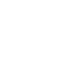 Summon a Dwarf Cassowary that tracks and attacks the enemy, dealing {1} Physical DMG {0} time(s).

Cooldown: {2}s