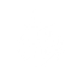 Summon a Dwarf Cassowary that tracks and attacks the enemy, dealing {1} Physical DMG {0} time(s).

Cooldown: {2}s