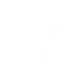 Summon a Cruisewing that restores HP for all current team characters by {0} of their Max HPs plus an additional {1} points of HP, up to 4 times.

CD: {2}s