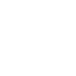 Transform into La Guardia and attack nearby targets, dealing {0} Physical DMG.
Hold the Echo Skill to maintain the Echo form for a while to slash enemies and cast a ranged attack forward. The slash deals {1} Physical DMG, and the ranged attack deals {3} Physical DMG up to {2} times.
CD: {4}s.