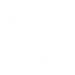 Summon a Havoc Drake to attack enemies, dealing {0} Havoc DMG 3 times.
CD: {1}s