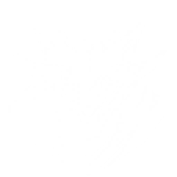 Transform into Kerasaur to leap into the air and slam down, dealing {0} Aero DMG. Shortly after hitting the target, cast Echo Skill again to charge at the target, dealing {1} Aero DMG.
The Resonator with this Echo equipped in the main slot gains {2} Aero DMG Bonus and {3} Resonance Liberation DMG Bonus.
CD: {4}s