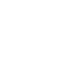 Summon a Flora Drone, dealing {0} Aero DMG to enemies and healing Resonators within range by {1} of their Max HP plus an additional {2} HP.

CD: {3}s