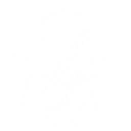 Transform into an Iceglint Dancer to attack enemies, dealing {0} Glacio DMG.
CD: {1}s.