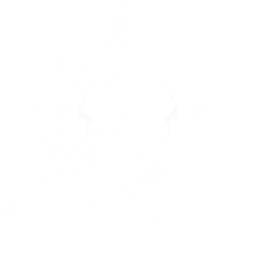 Transform into a Pilgrim's Shell to attack nearby enemies, dealing {0} Aero DMG.
CD: {1}s